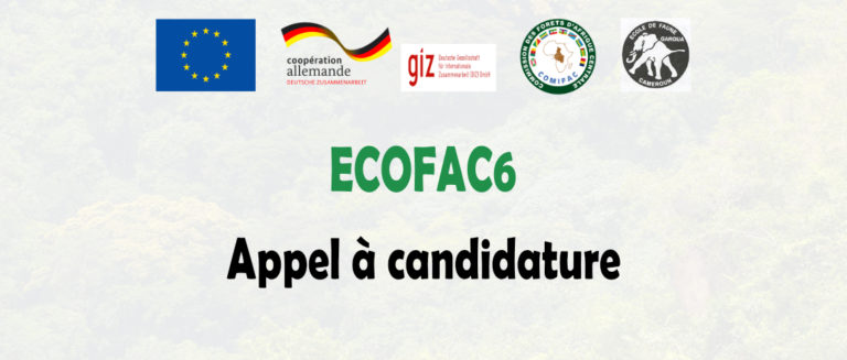 Ecofac6_site